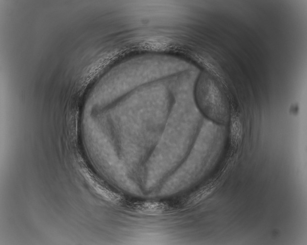 X0000115310493200911301539