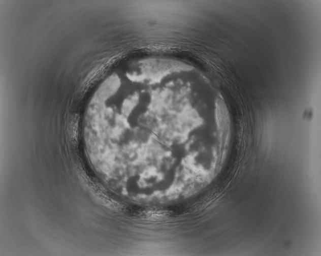 X0000115310495200911301539