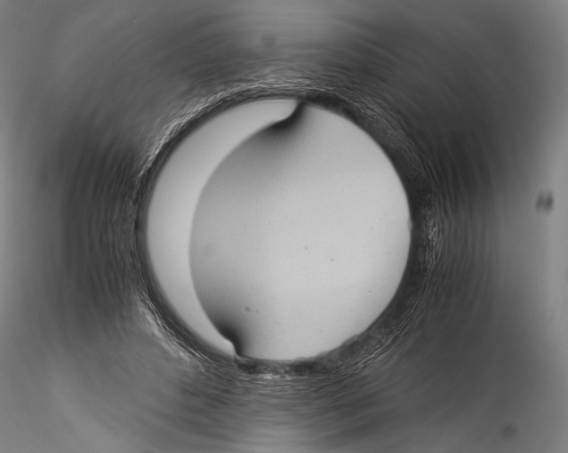 X0000115310496200911301539