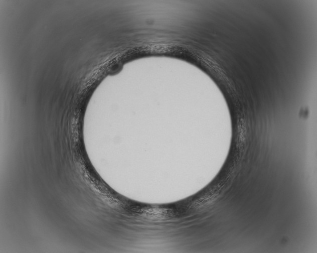 X0000115310497200911301539