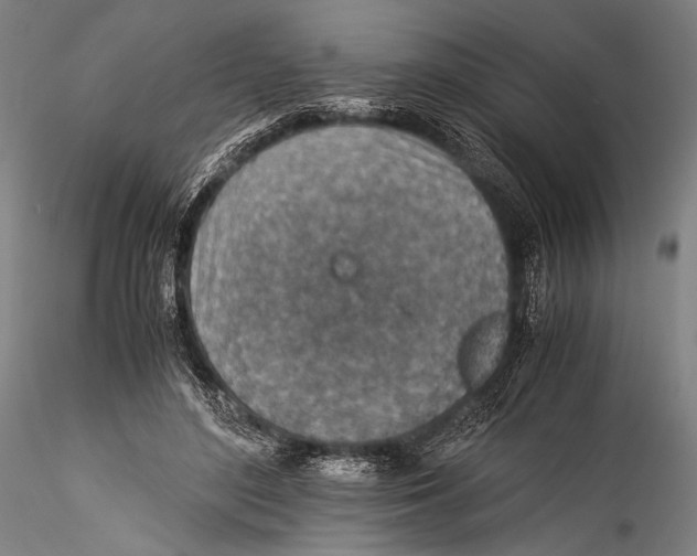 X0000115310500200911301539