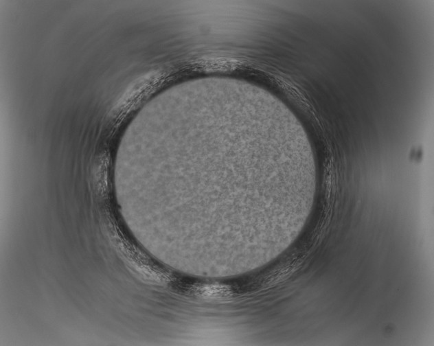 X0000115310501200911301539