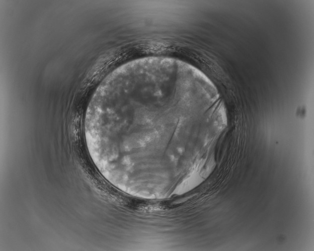 X0000115310503200911301539