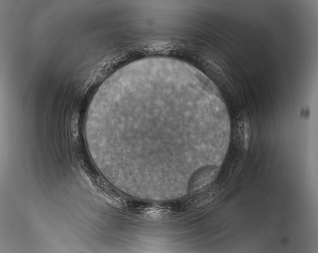 X0000115310504200911301539