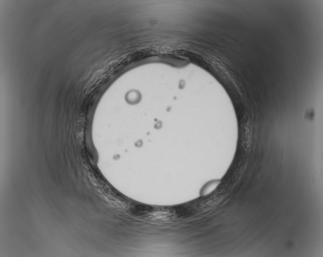 X0000115310505200911301538