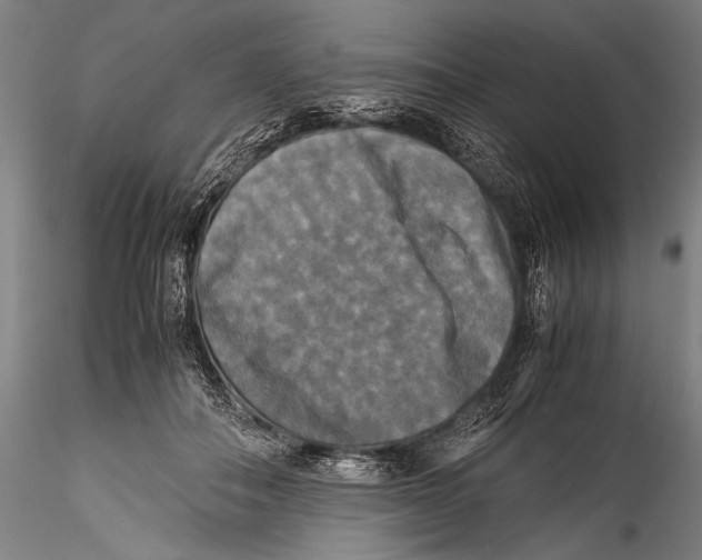 X0000115310506200911301538