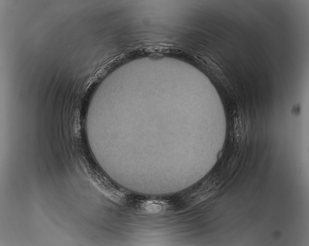 X0000115310508200911301538