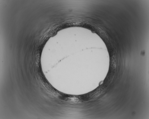 X0000115310509200911301538