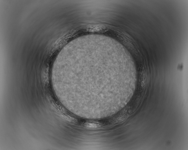 X0000115310510200911301538