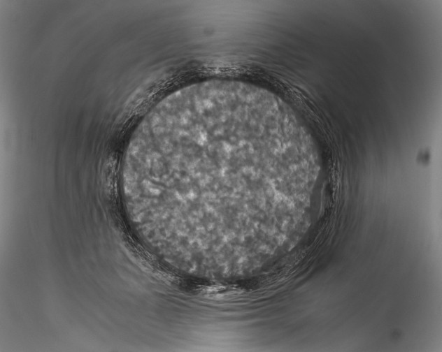 X0000115310511200911301538