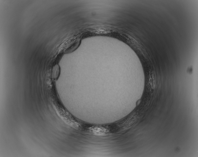 X0000115310512200911301538