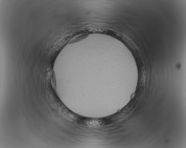 X0000115310513200911301538