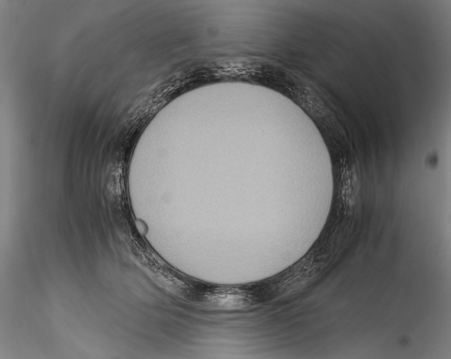 X0000115310514200911301538