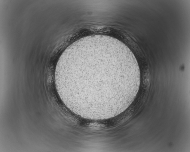 X0000115310515200911301538