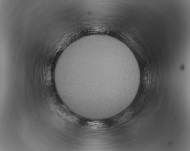 X0000115310516200911301538