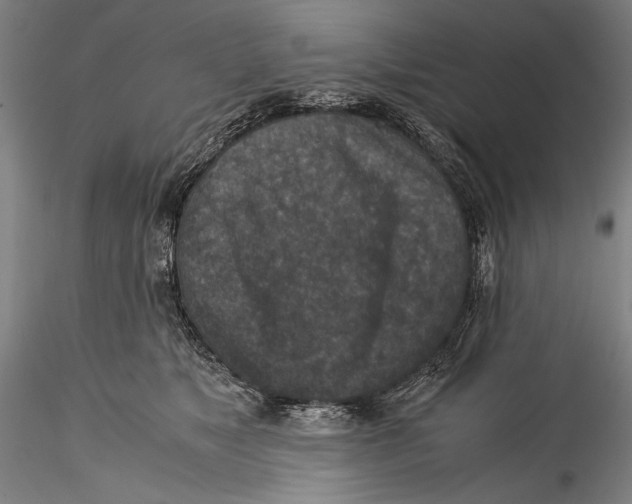 X0000115310517200911301538