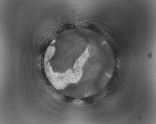 X0000115310519200911301538