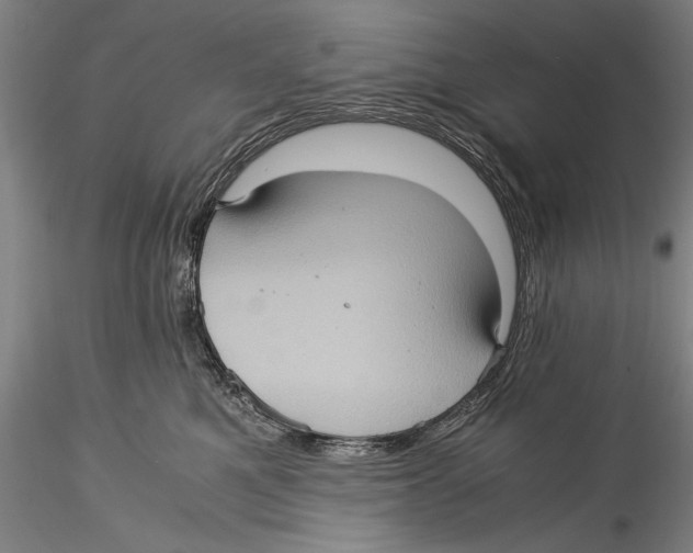 X0000115310521200911301538