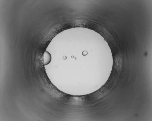 X0000115310522200911301538