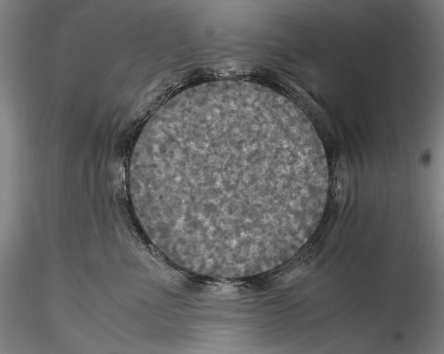 X0000115310523200911301538