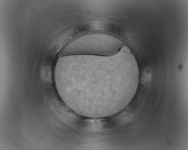 X0000115310524200911301538