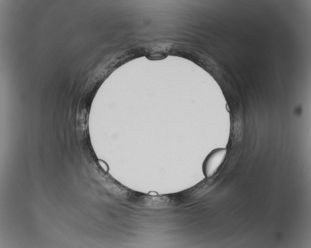 X0000115310525200911301538