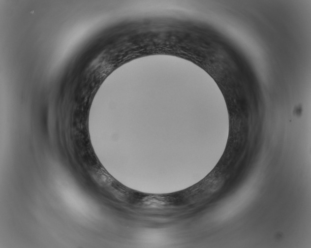 X0000115310526200911301538