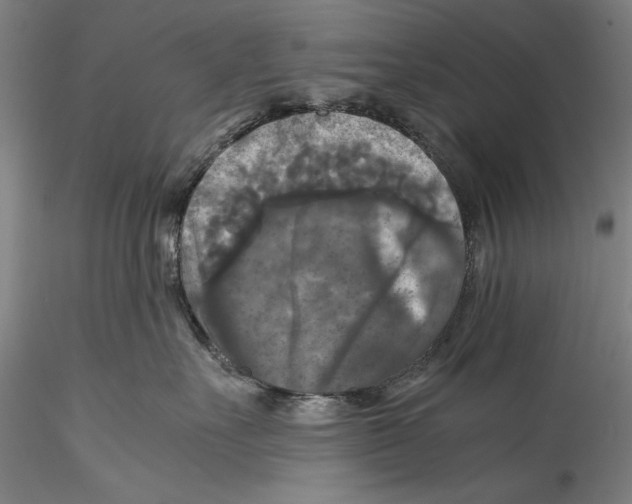 X0000115310527200911301538