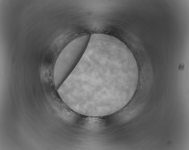 X0000115310528200911301538