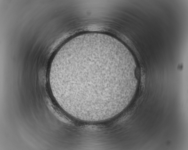 X0000115310530200911301537