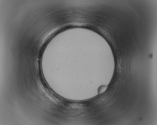 X0000115310535200911301537