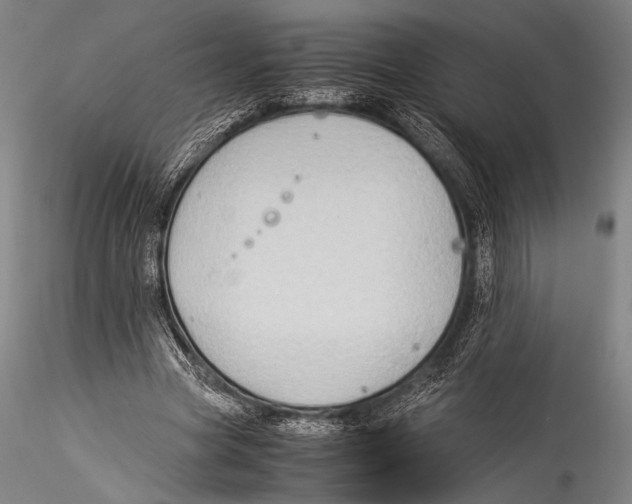 X0000115310537200911301537