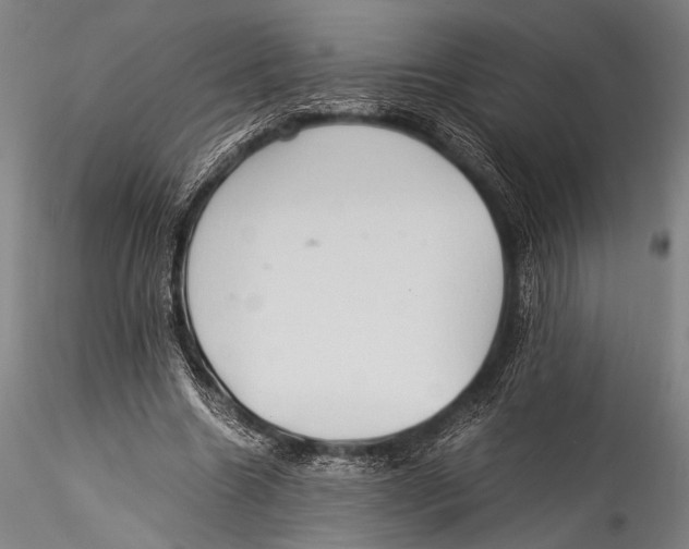 X0000115310538200911301537