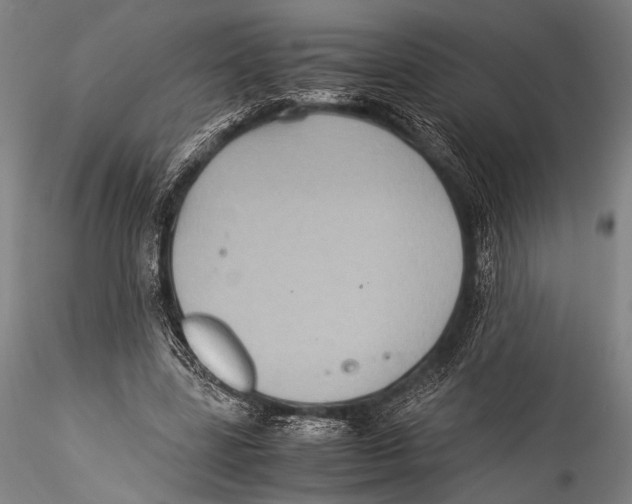 X0000115310539200911301537