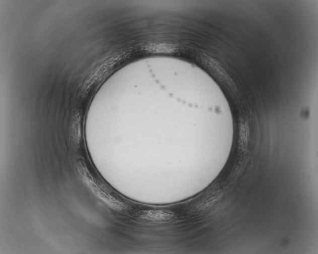 X0000115310541200911301538