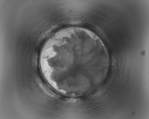 X0000115310542200911301538