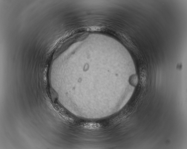 X0000115310543200911301538