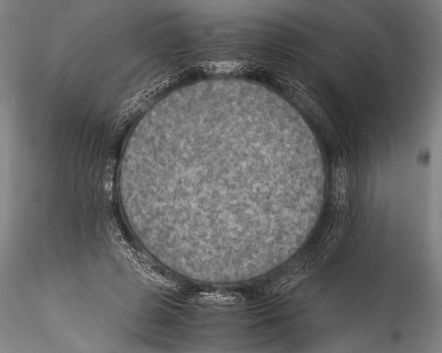 X0000115310545200911301538