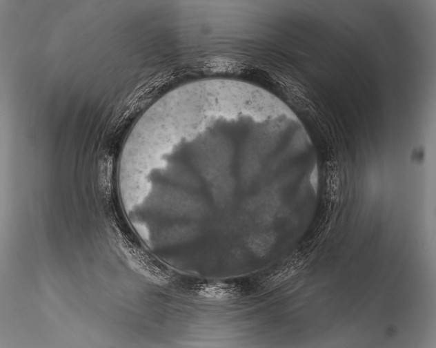 X0000115310550200911301538