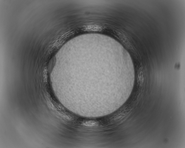 X0000115310551200911301538