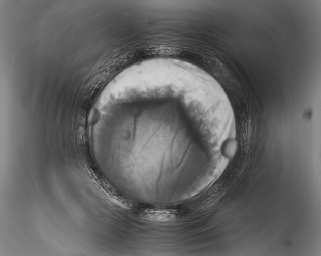 X0000115310553200911301538