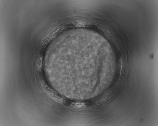 X0000115310554200911301538