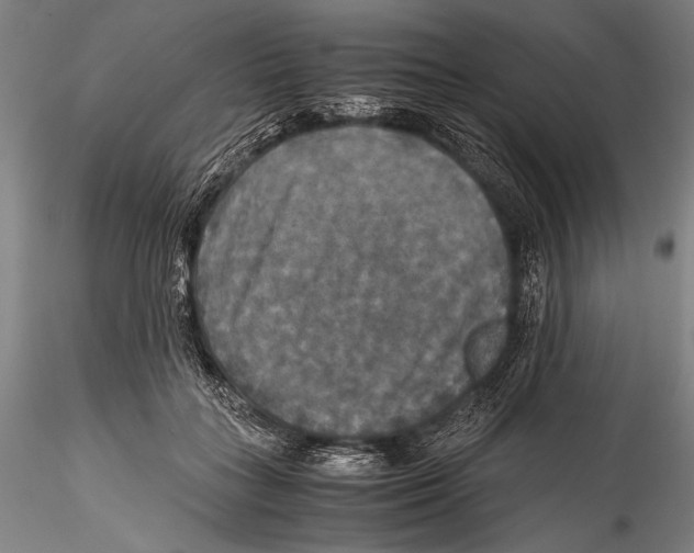 X0000115310555200911301538