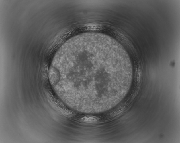 X0000115310557200911301538