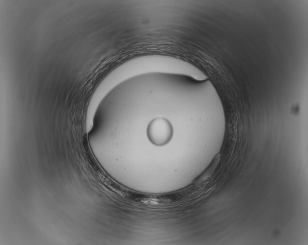 X0000115310558200911301538