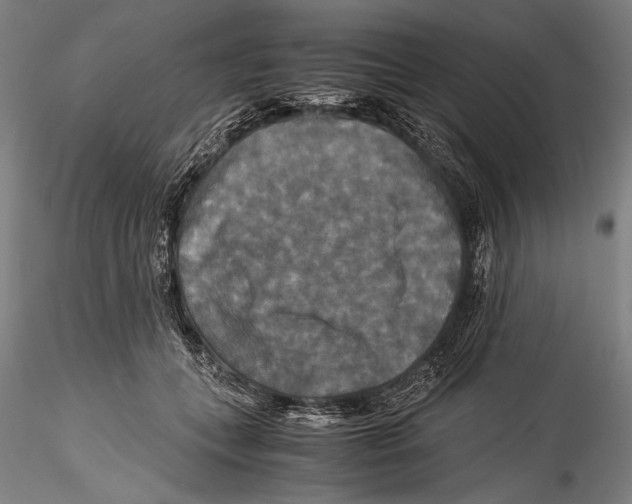 X0000115310559200911301538