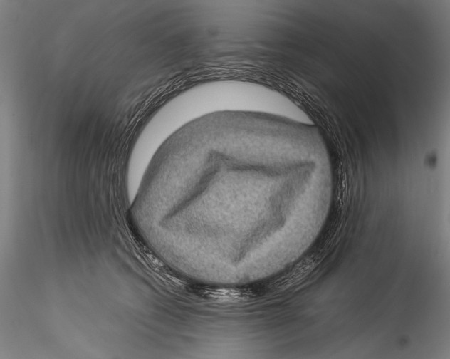 X0000115310562200911301538