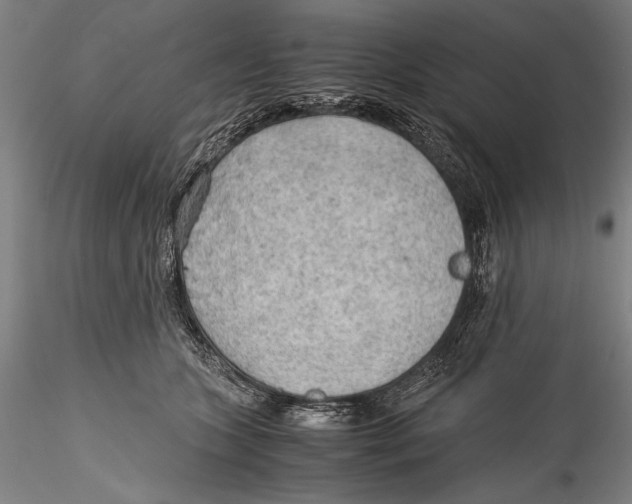 X0000115310563200911301538