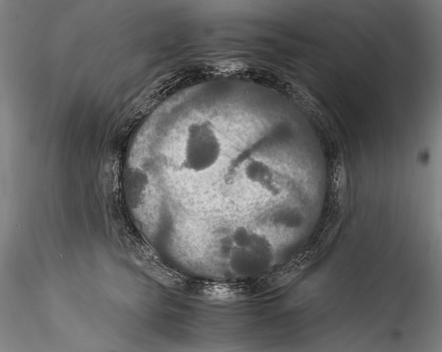 X0000115310565200911301538