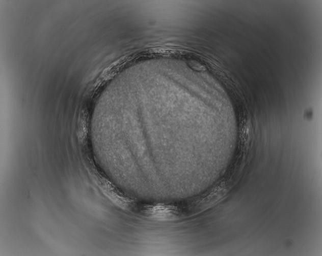 X0000115310566200911301538